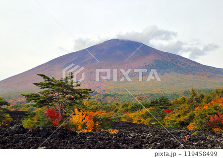 秋の岩手山と焼走り 秋の岩手山と焼走り 119458499