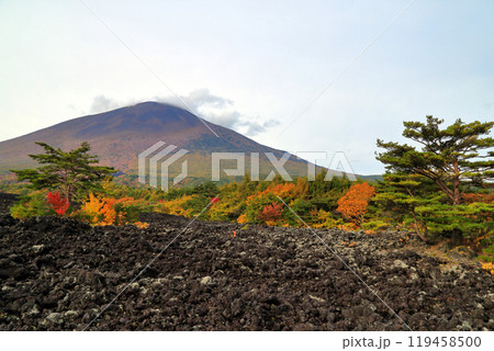 秋の岩手山と焼走り 119458500