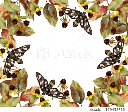 Autumn yellow flowers and green leaves branch, butterfly, dried flowers frame on white. Fall watercolor illustration for Thanksgiving, Harvest Festival, Halloween party decoration. 119458786
