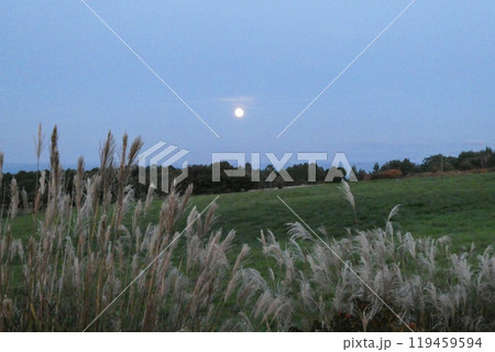 岩手県八幡平の高原の満月とススキ 119459594