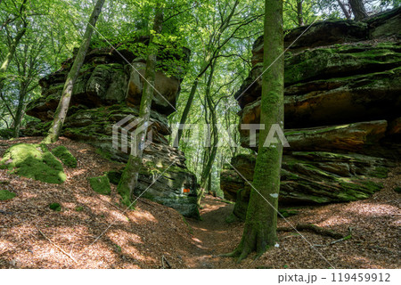 Landscape close to Treves, Eifel, Germany Landscape close to Treves, Eifel, Germany 119459912