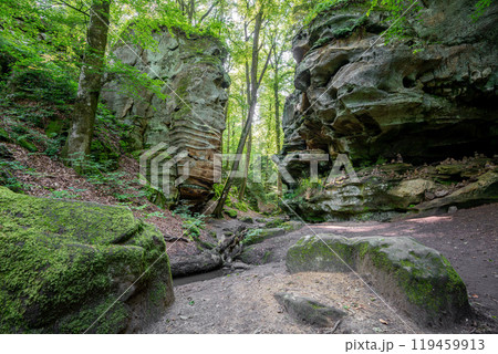Landscape close to Treves, Eifel, Germany Landscape close to Treves, Eifel, Germany 119459913