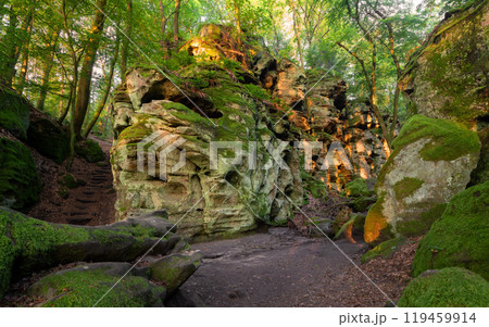 Landscape close to Treves, Eifel, Germany Landscape close to Treves, Eifel, Germany 119459914