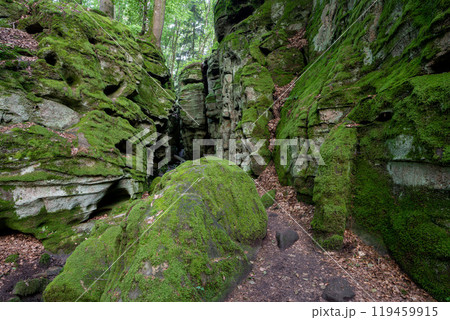 Landscape close to Treves, Eifel, Germany 119459915