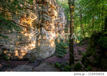 Landscape close to Treves, Eifel, Germany Landscape close to Treves, Eifel, Germany 119459916