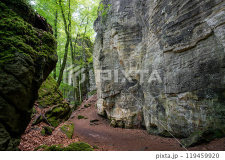 Landscape close to Treves, Eifel, Germany Landscape close to Treves, Eifel, Germany 119459920