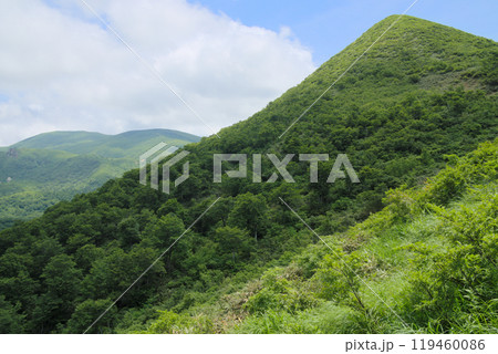 北側から望む秣岳と背後の栗駒山 119460086