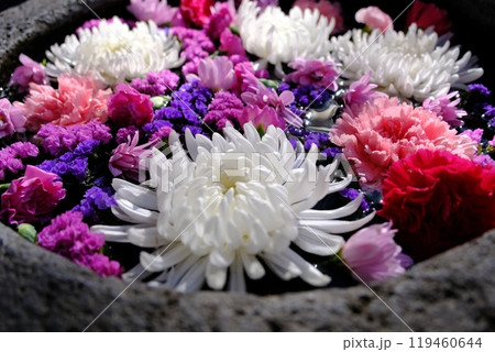 水盤に咲いた色とりどりの花 水盤に咲いた色とりどりの花 119460644