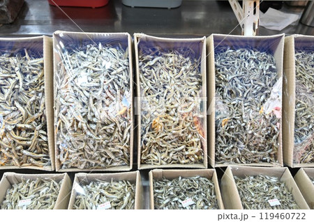 Korean Seafood Food. Dried anchovies 119460722