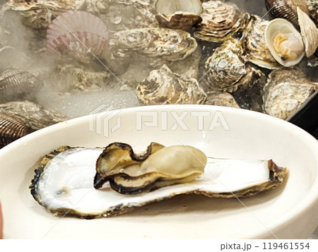 Korean Seafood Food. Steamed oysters Korean Seafood Food. Steamed oysters 119461554