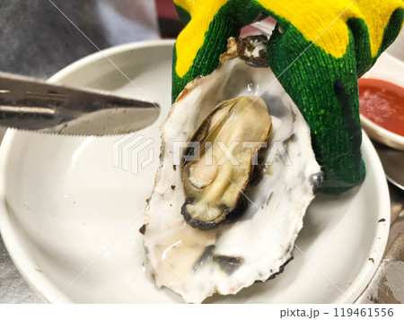 Korean Seafood Food. Steamed oysters Korean Seafood Food. Steamed oysters 119461556