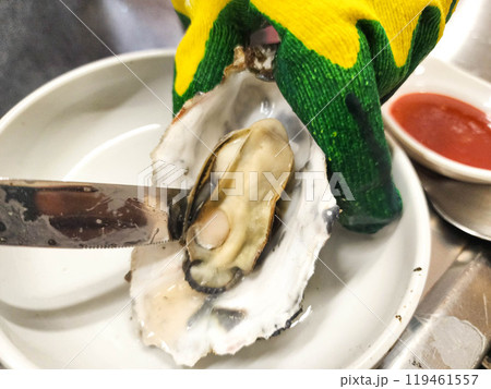 Korean Seafood Food. Steamed oysters Korean Seafood Food. Steamed oysters 119461557