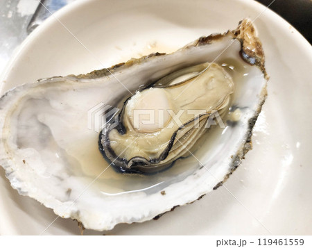 Korean Seafood Food. Steamed oysters Korean Seafood Food. Steamed oysters 119461559