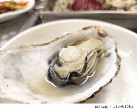 Korean Seafood Food. Steamed oysters Korean Seafood Food. Steamed oysters 119461562