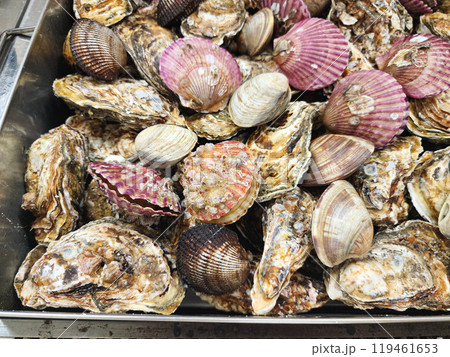 Korean Seafood Food. Steamed oysters and clams Korean Seafood Food. Steamed oysters and clams 119461653