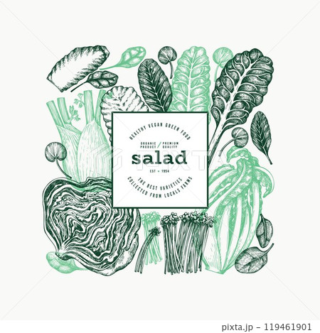 Green Vegetable Design Template. Vector Hand Drawn Healthy Leaf Salad Banner. Vintage Style Menu Illustration. Green Vegetable Design Template. Vector Hand Drawn Healthy Leaf Salad Banner. Vintage Style Menu Illustration. 119461901