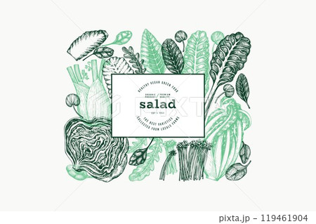 Green Vegetable Design Template. Vector Hand Drawn Healthy Leaf Salad Banner. Vintage Style Menu Illustration. 119461904