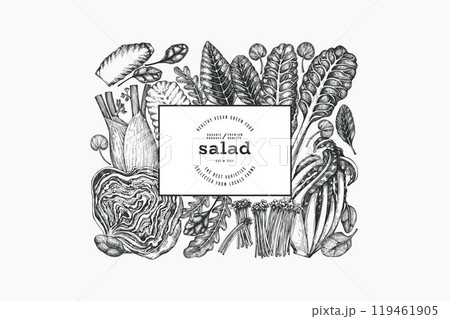 Green Vegetable Design Template. Vector Hand Drawn Healthy Leaf Salad Banner. Vintage Style Menu Illustration. Green Vegetable Design Template. Vector Hand Drawn Healthy Leaf Salad Banner. Vintage Style Menu Illustration. 119461905