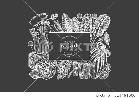 Green Vegetable Design Template. Vector Hand Drawn Healthy Leaf Salad Banner. Vintage Style Menu IllustrationOn Chalk Board. 119461906