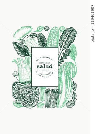 Green Vegetable Design Template. Vector Hand Drawn Healthy Leaf Salad Banner. Vintage Style Menu Illustration. Green Vegetable Design Template. Vector Hand Drawn Healthy Leaf Salad Banner. Vintage Style Menu Illustration. 119461907