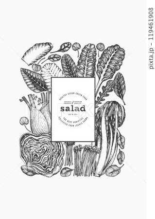Green Vegetable Design Template. Vector Hand Drawn Healthy Leaf Salad Banner. Vintage Style Menu Illustration. 119461908