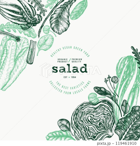 Green Vegetable Design Template. Vector Hand Drawn Healthy Leaf Salad Banner. Vintage Style Menu Illustration. Green Vegetable Design Template. Vector Hand Drawn Healthy Leaf Salad Banner. Vintage Style Menu Illustration. 119461910