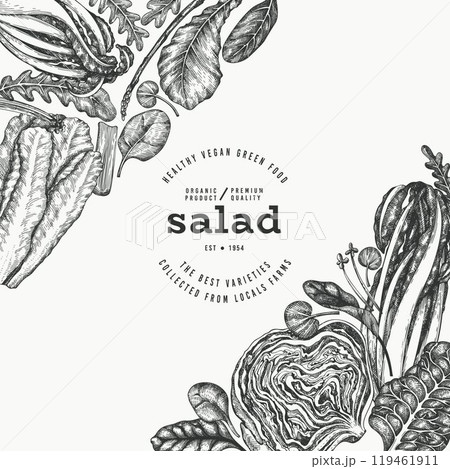 Green Vegetable Design Template. Vector Hand Drawn Healthy Leaf Salad Banner. Vintage Style Menu Illustration. 119461911