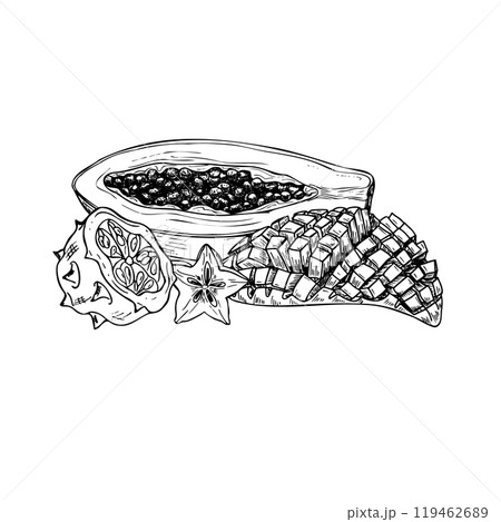 Aromatic delicious fruit mix hand drawn black and white vector illustration. Half Papaya, half kiwano, cut mango with cubes, carambola slice ink sketch. For summer design. Aromatic delicious fruit mix hand drawn black and white vector illustration. Half Papaya, half kiwano, cut mango with cubes, carambola slice ink sketch. For summer design. 119462689