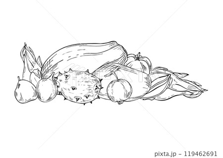 Tasty exotic tropical fruit mix hand drawn black and white vector illustration. Whole Papaya, kiwano, maracuja , guava, Pitahaya and mango fruits monochrome composition. For summer design. 119462691