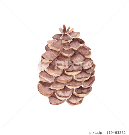 Forest Pine Cone. Watercolor Hand painted illustration isolated on a white background. Design Element for Christmas prints and decorations. Forest Pine Cone. Watercolor Hand painted illustration isolated on a white background. Design Element for Christmas prints and decorations. 119463282