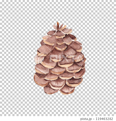 Forest Pine Cone. Watercolor Hand painted illustration isolated on a white background. Design Element for Christmas prints and decorations. Forest Pine Cone. Watercolor Hand painted illustration isolated on a white background. Design Element for Christmas prints and decorations. 119463282