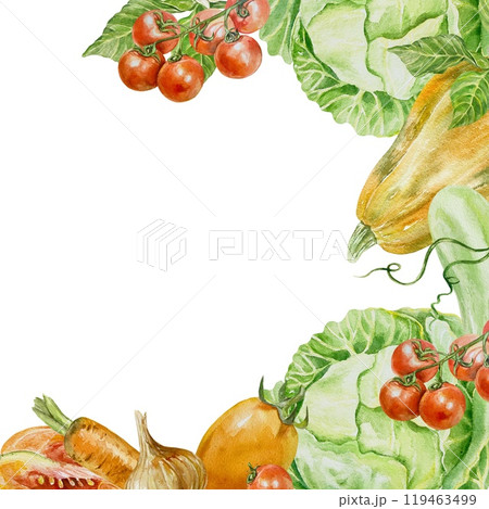 Vegetable frame square. Cabbage, pumpkin, zucchini, tomato, carrot, onion. Watercolor illustration isolated. Labels, cards, banners, cookbooks, menus. 119463499