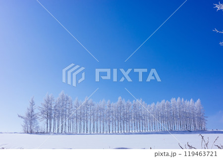 霧氷と青空 119463721