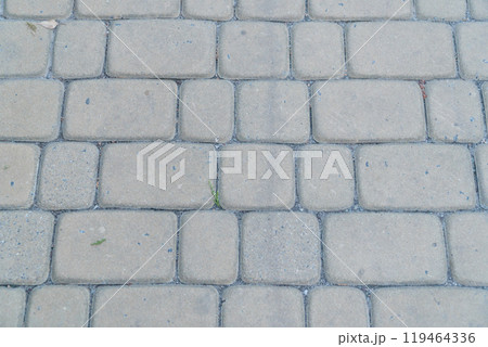 Textured Cobblestone Pathway with Subtle Natural Elements Textured Cobblestone Pathway with Subtle Natural Elements 119464336