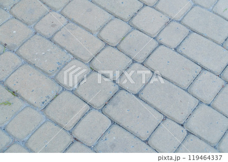 Elegant Pattern of Interlocking Pavers Creating a Subtle Textural Harmony 119464337