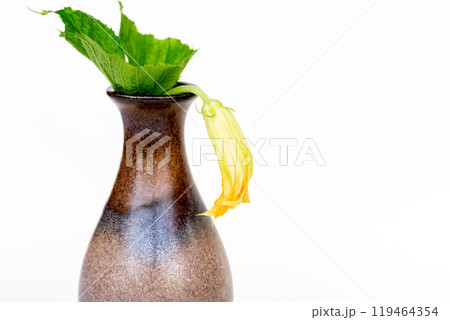 zucchini flower in a vase on the white background zucchini flower in a vase on the white background 119464354