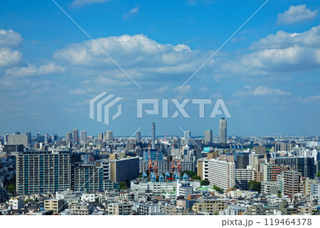 北とぴあより川口元郷の住宅街　エルザタワー55方面の街並みを望む 119464378
