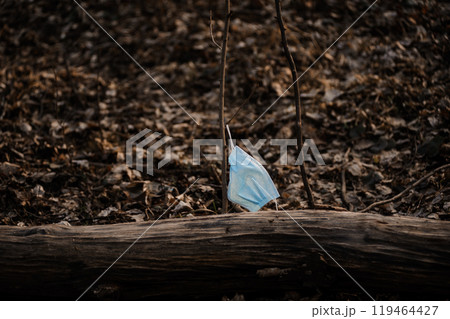 Discarded Blue Face Mask Hanging from a Branch in a Leafy Forest Setting Discarded Blue Face Mask Hanging from a Branch in a Leafy Forest Setting 119464427