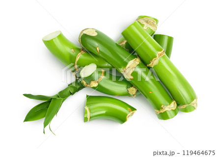 Green bamboo with leaves isolated on white background. Top view. Flat lay 119464675
