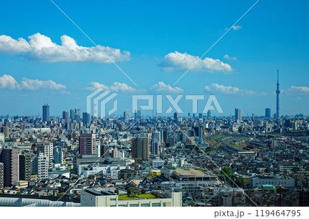 北とぴあより東京スカイツリー方面の街並みを望む 北とぴあより東京スカイツリー方面の街並みを望む 119464795