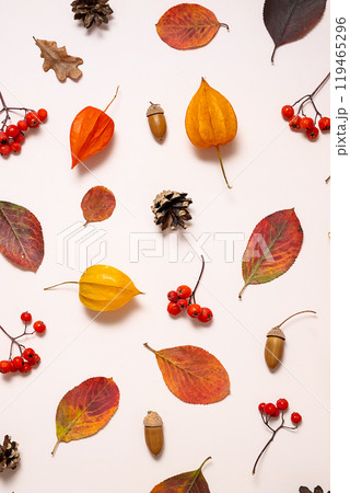 Colorful autumn leaves and natural elements creating a seasonal aesthetic. 119465296
