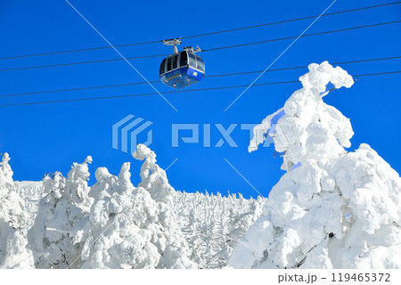山形蔵王スキー場 ロープウェイと樹氷原の絶景 山形蔵王スキー場 ロープウェイと樹氷原の絶景 119465372