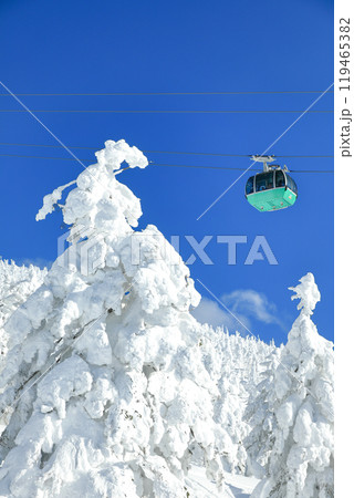 山形蔵王スキー場　ロープウェイと樹氷原の絶景 119465382