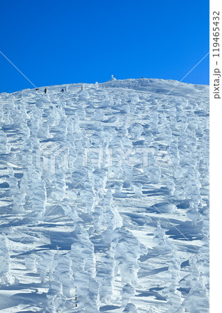山形蔵王スキー場 ゴンドラ駅地蔵山頂から望む樹氷原の絶景 山形蔵王スキー場 ゴンドラ駅地蔵山頂から望む樹氷原の絶景 119465432