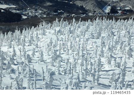 山形蔵王スキー場　ゴンドラ駅地蔵山頂から望む樹氷原の絶景 119465435