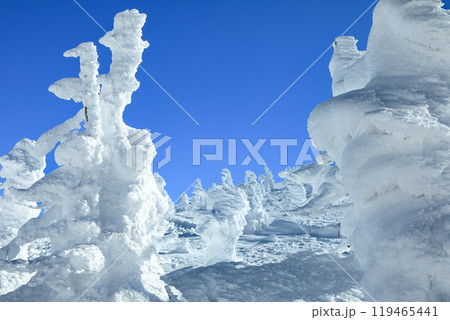 山形蔵王スキー場　ゴンドラ駅地蔵山頂のモンスター樹氷 119465441