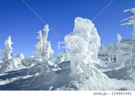 山形蔵王スキー場　ゴンドラ駅地蔵山頂のモンスター樹氷 119465442