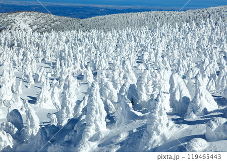 山形蔵王スキー場　ゴンドラ駅地蔵山頂から望む樹氷原の絶景 119465443