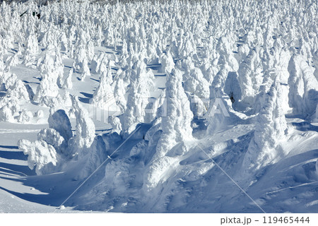 山形蔵王スキー場　ゴンドラ駅地蔵山頂から望む樹氷原の絶景 119465444