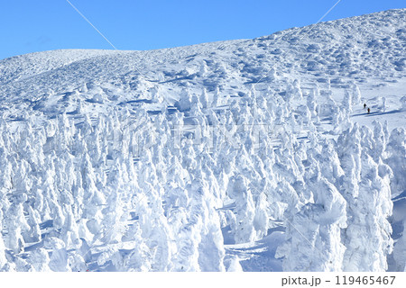 山形蔵王スキー場　ゴンドラ駅地蔵山頂から望む樹氷原の絶景 119465467